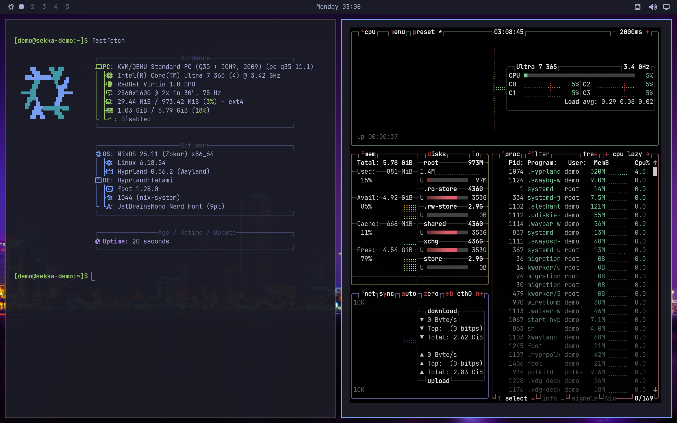 Tatami with two terminals tiled side by side: fastfetch and btop, in Tokyo Night colours.